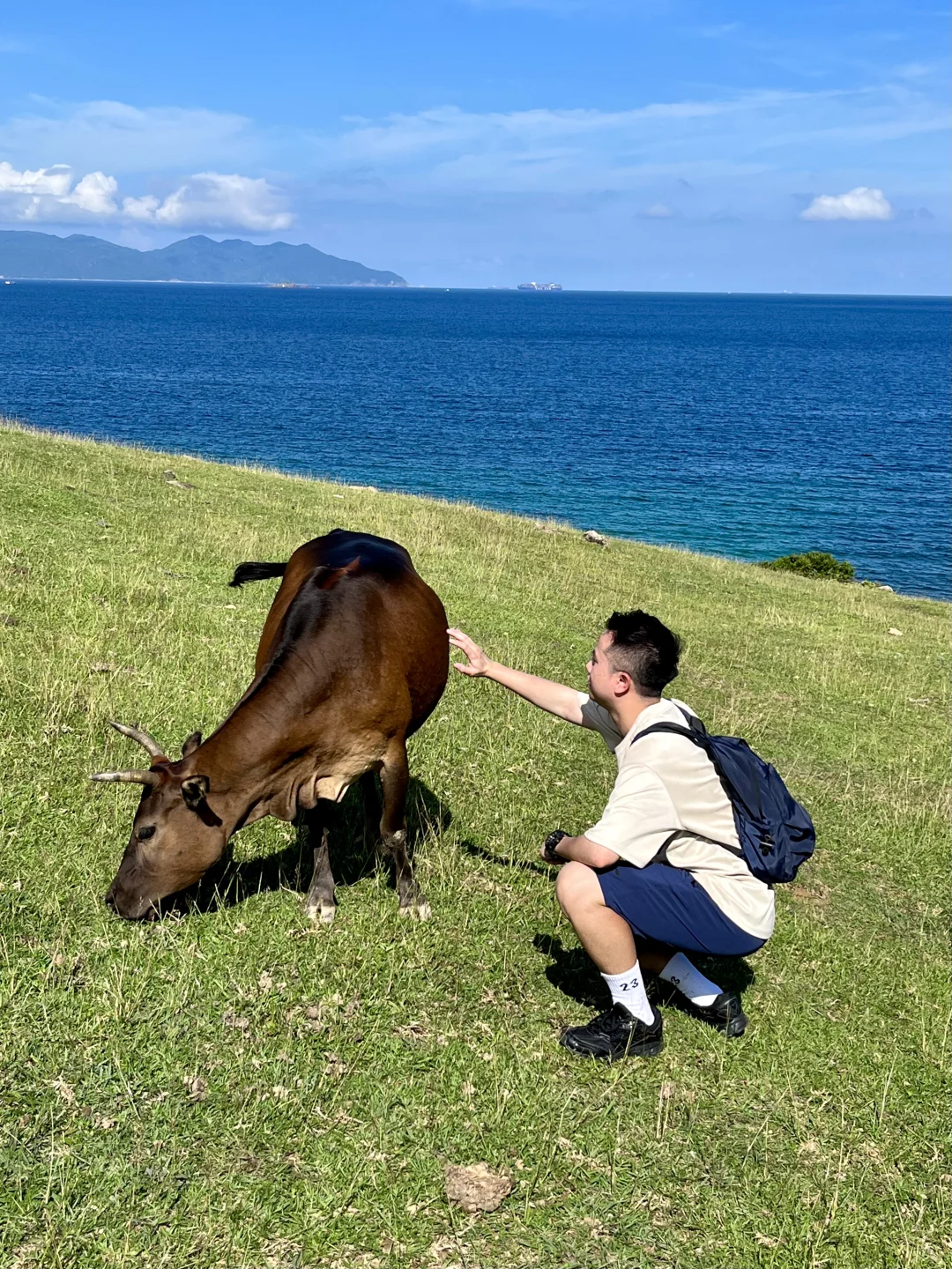 来香港别挤坚尼地了！！花20💰直达小新西兰！！
