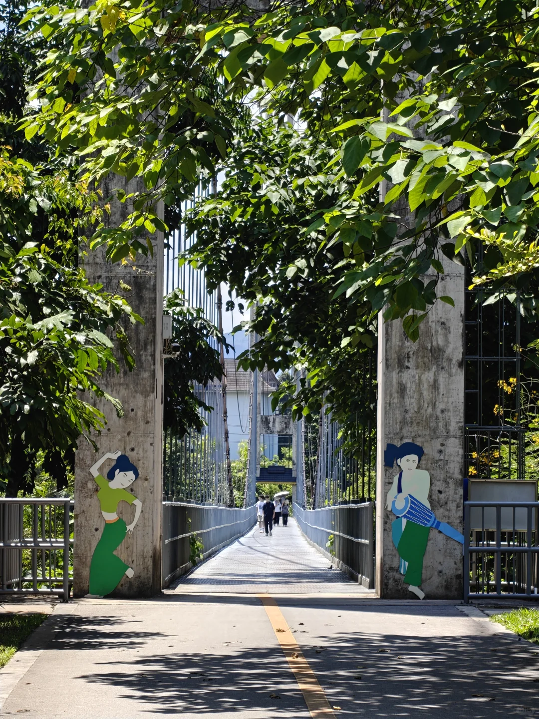 22km用脚丈量西双版纳热带植物园