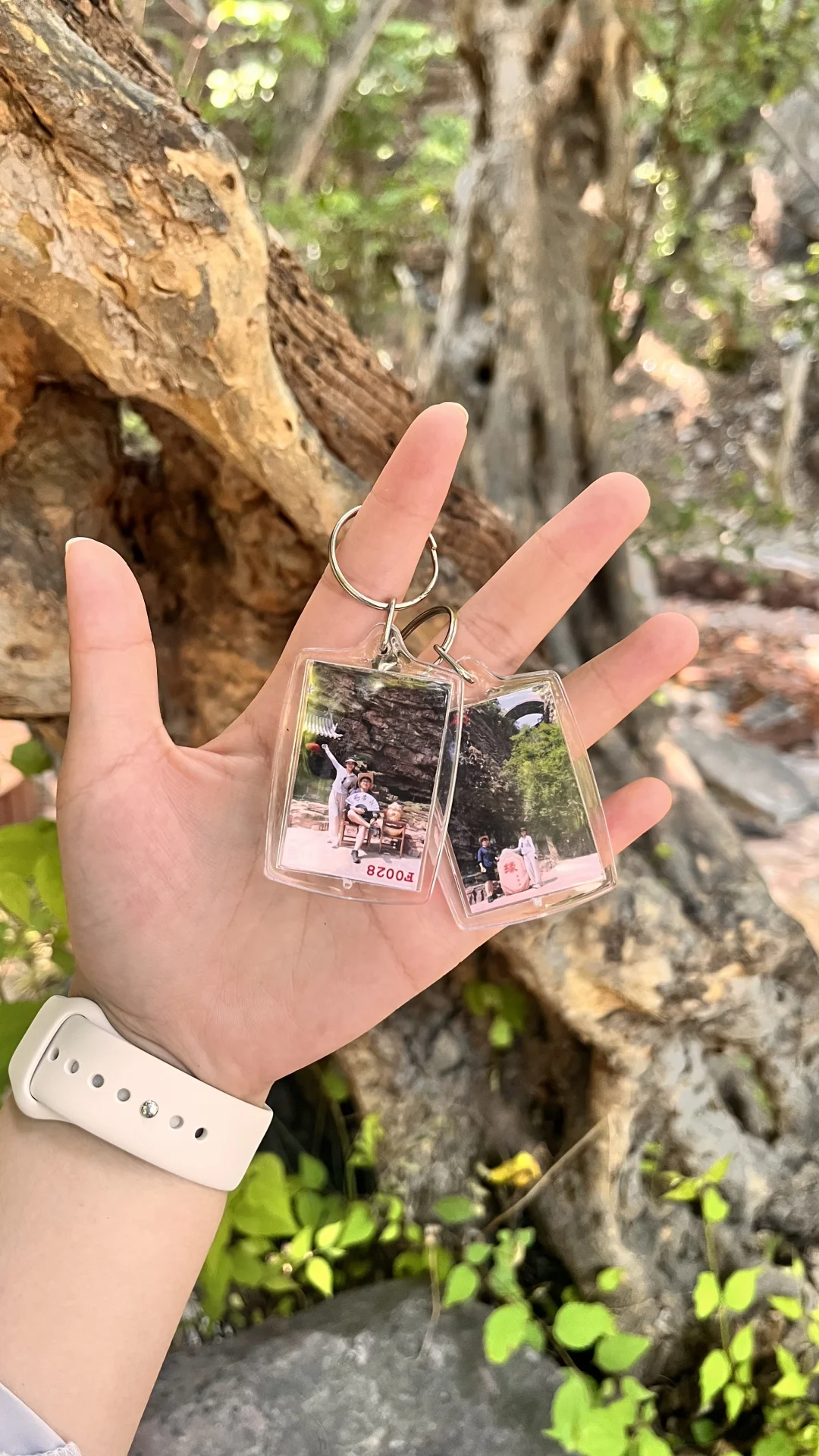 赵县出发井陉苍岩山一日游