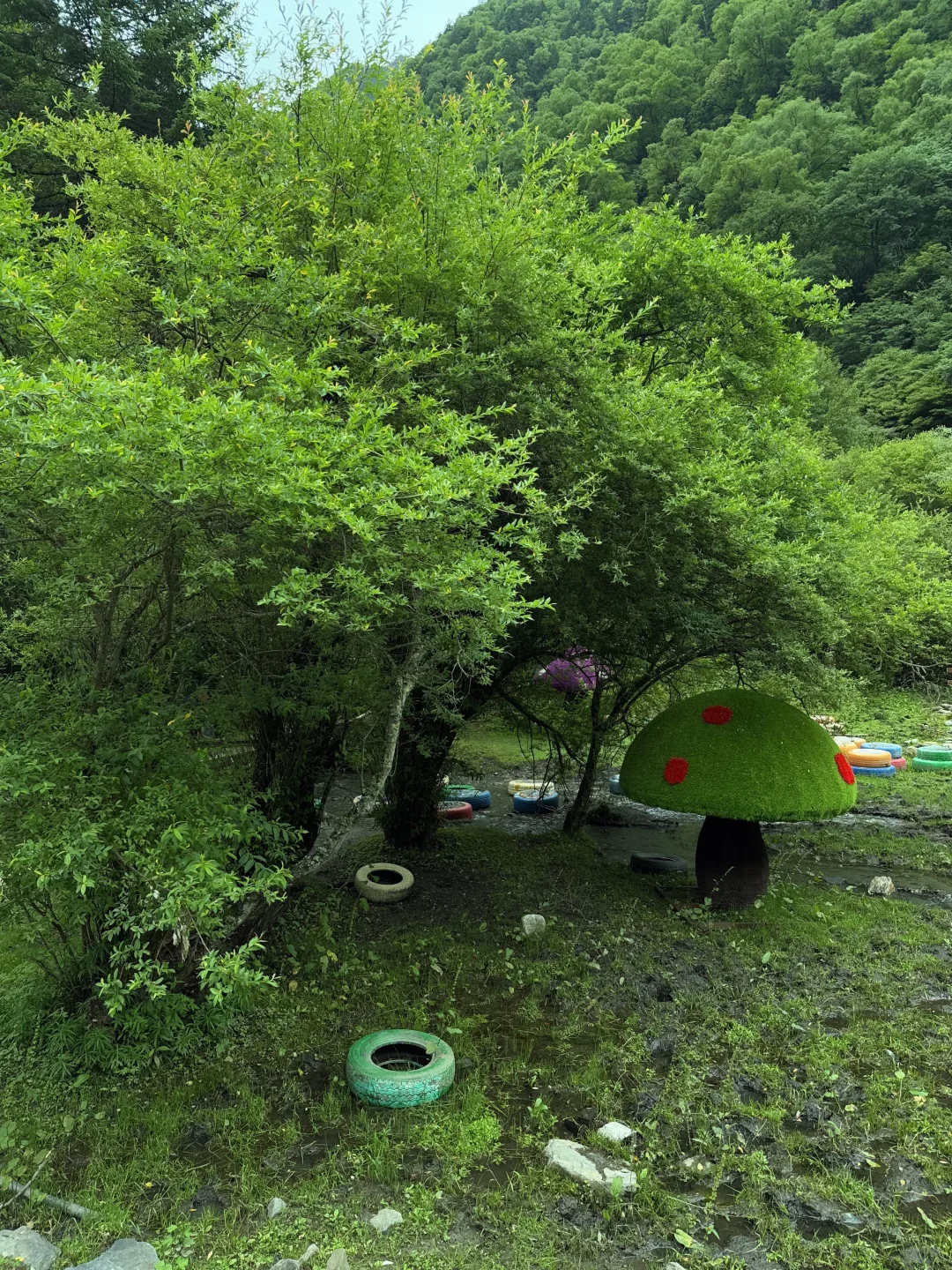 茂县 | | 叠溪松坪沟