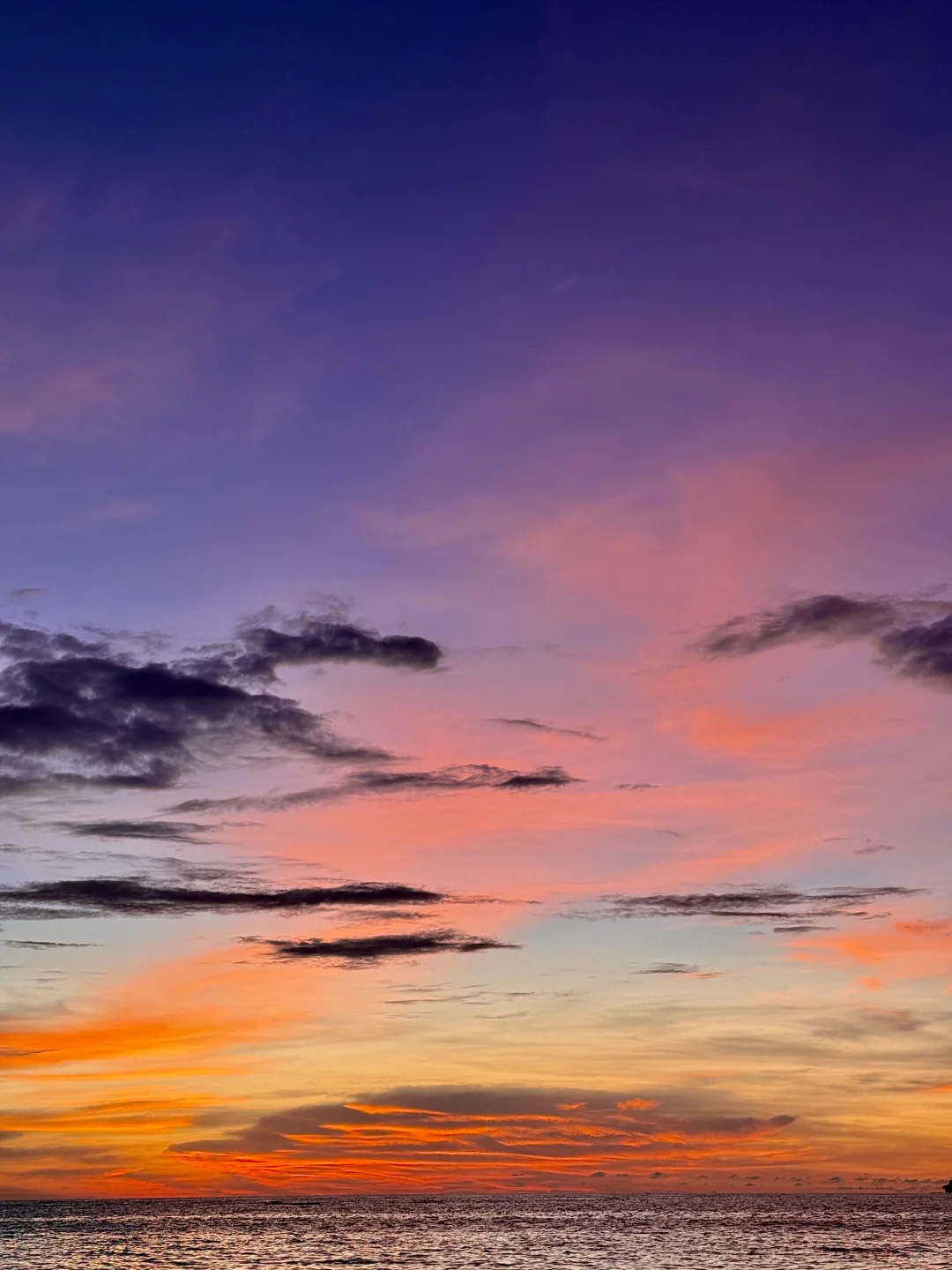 广州打工人挑战每周出玩第1️⃣站：亚庇 ！！！