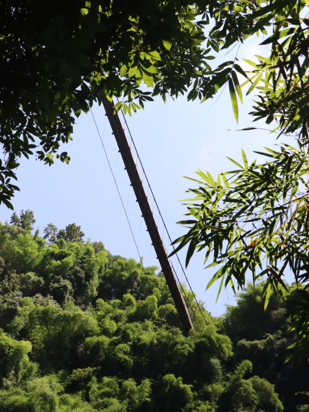 川西竹海📍1h直达，玻璃天桥直通云端！