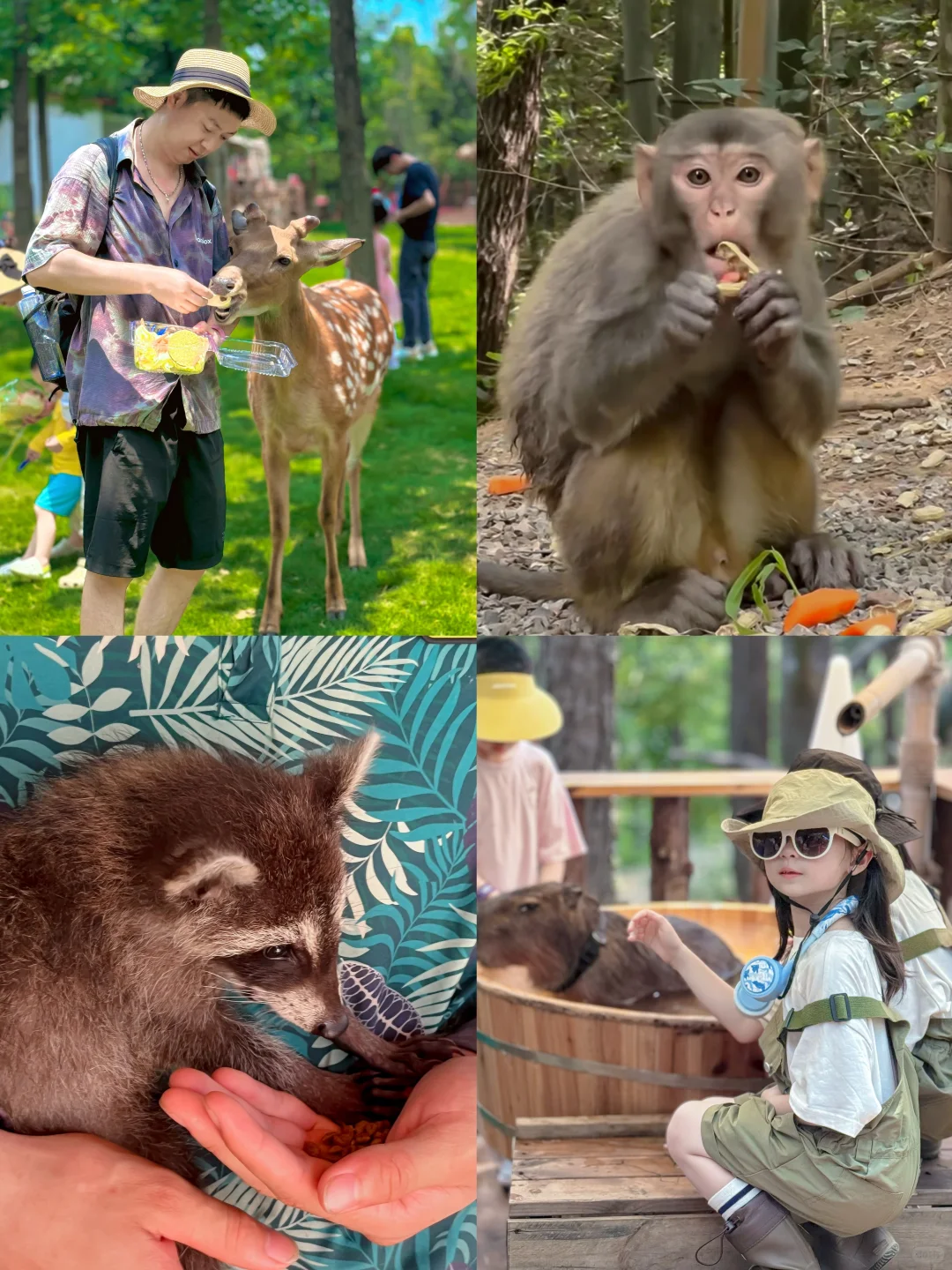 带娃躺玩丛林漂流不费妈!亲子狂欢一整天