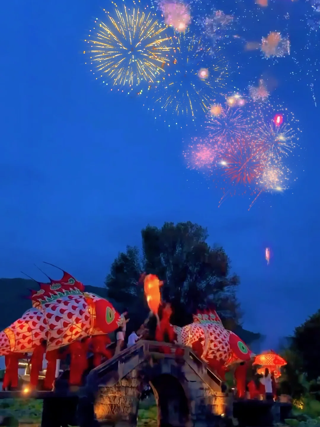 辛弃疾没骗我～“一夜鱼龙舞”真的很浪漫呀