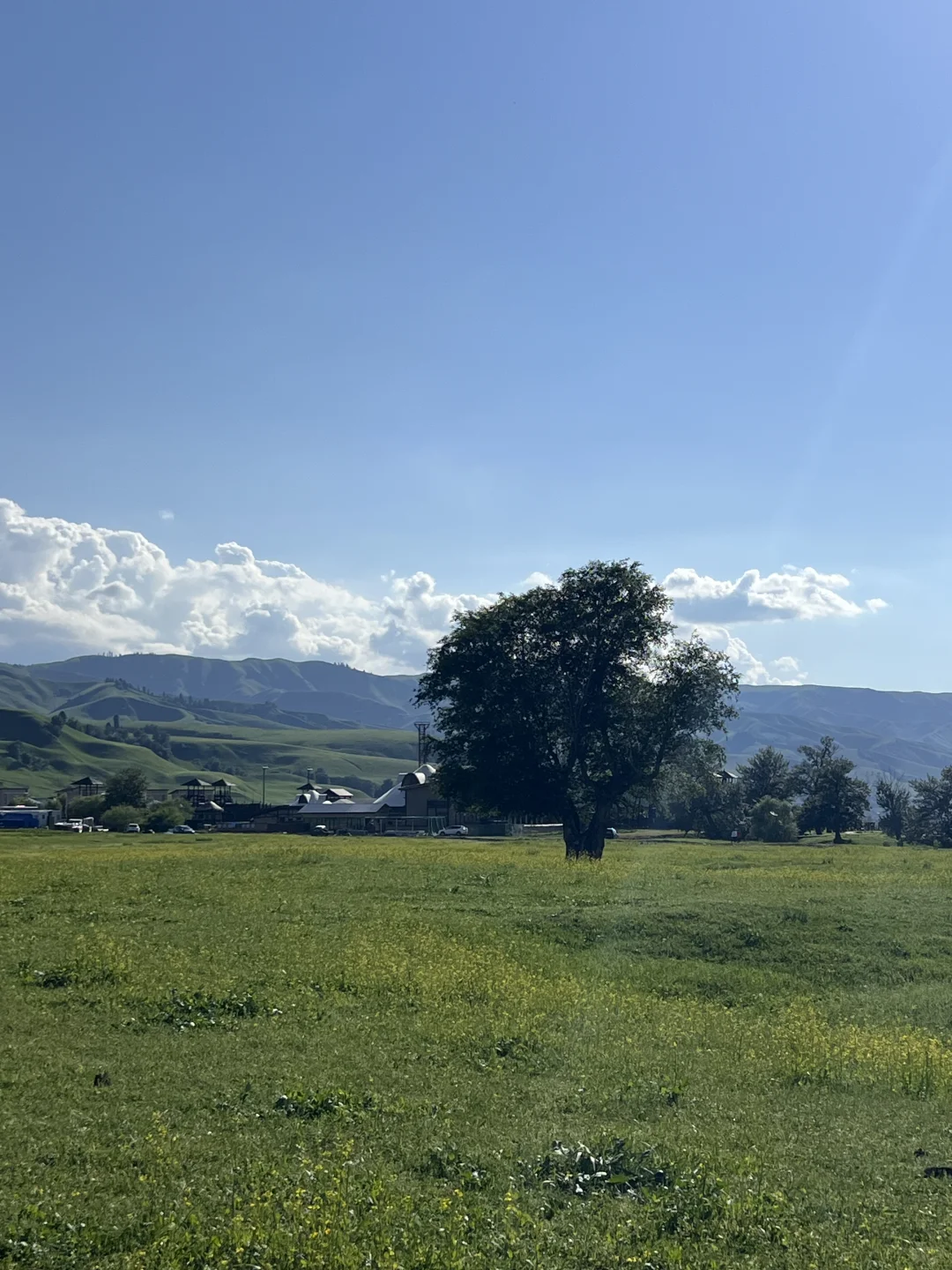 6月24日 那拉提 ~ 新疆游