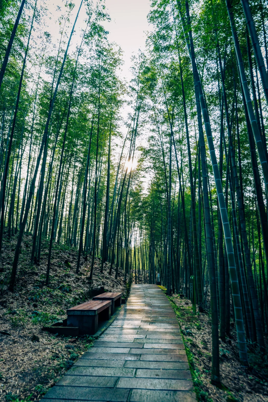 听劝！没做好攻略前，千万别去赤水丹霞‼️