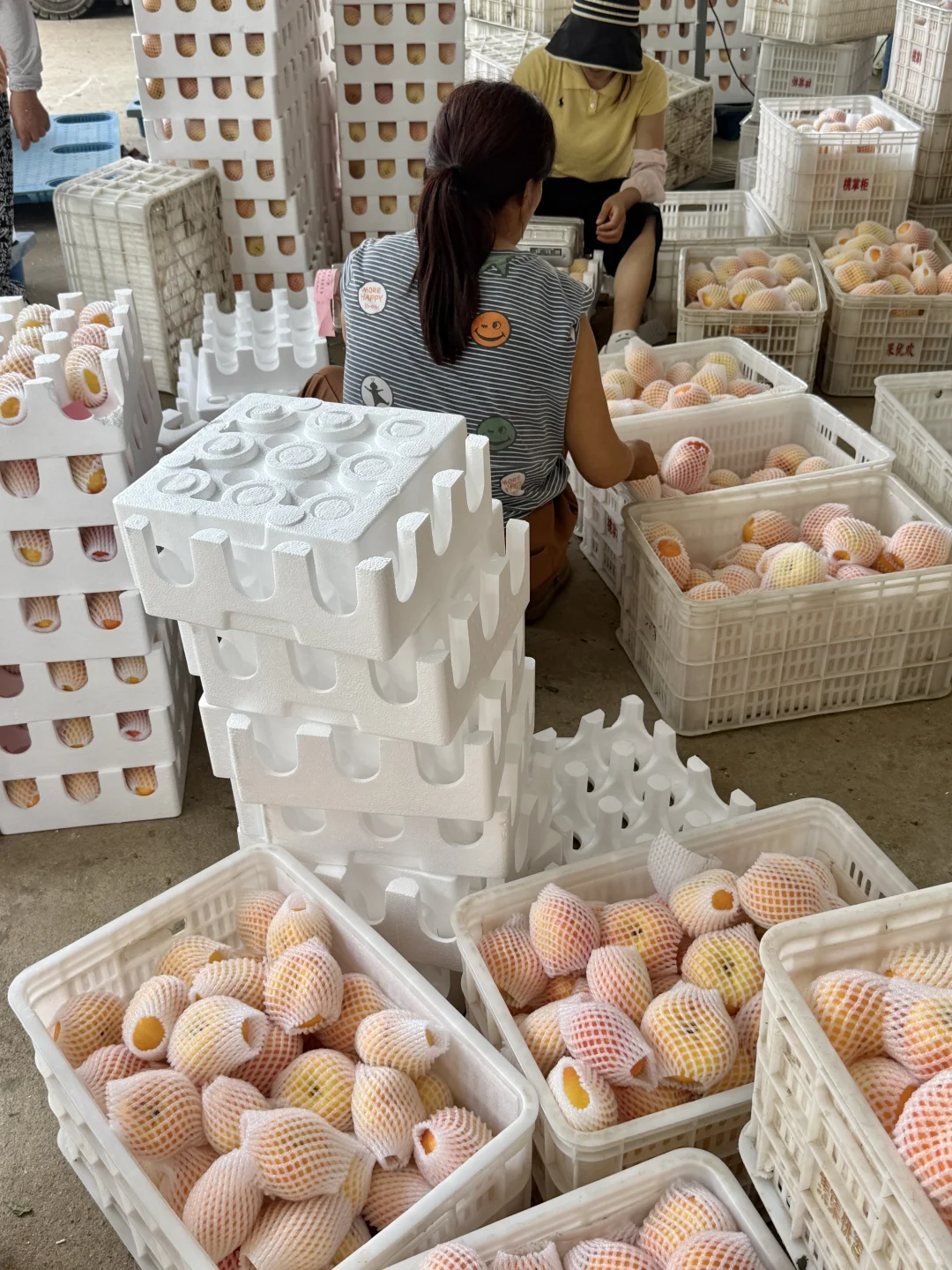 放心吧！20多我也得让你们感受到物超所值！