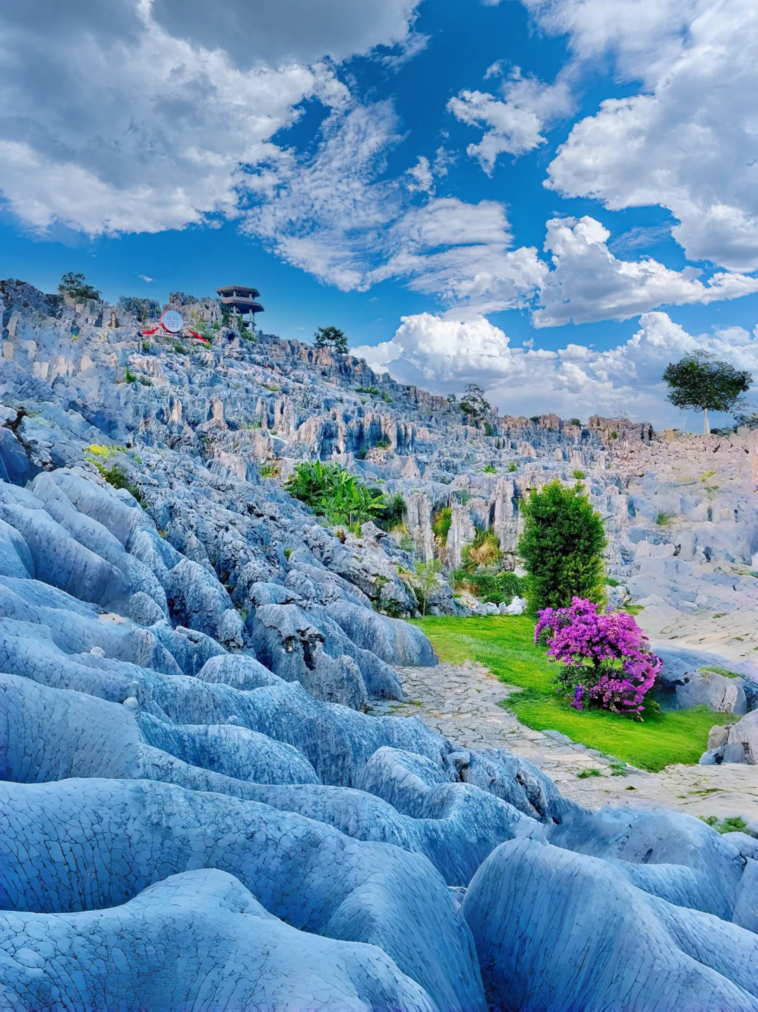 假期避开人潮拥挤！🌍去世界的另一个星球！！