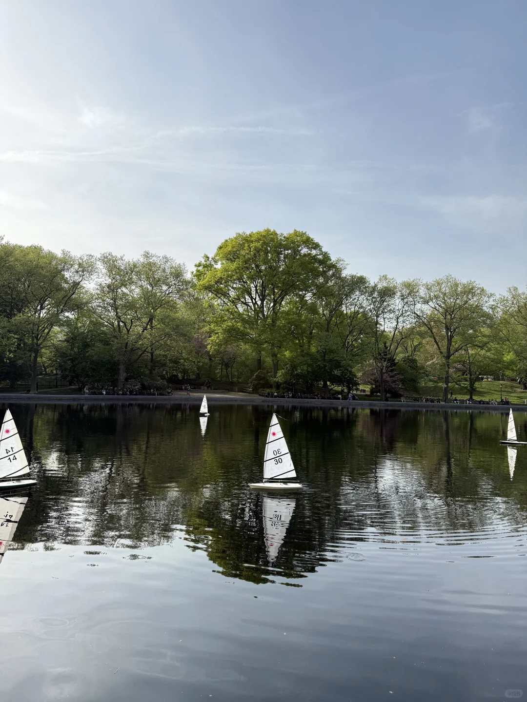 🇺🇸一组纽约吃喝玩乐指南