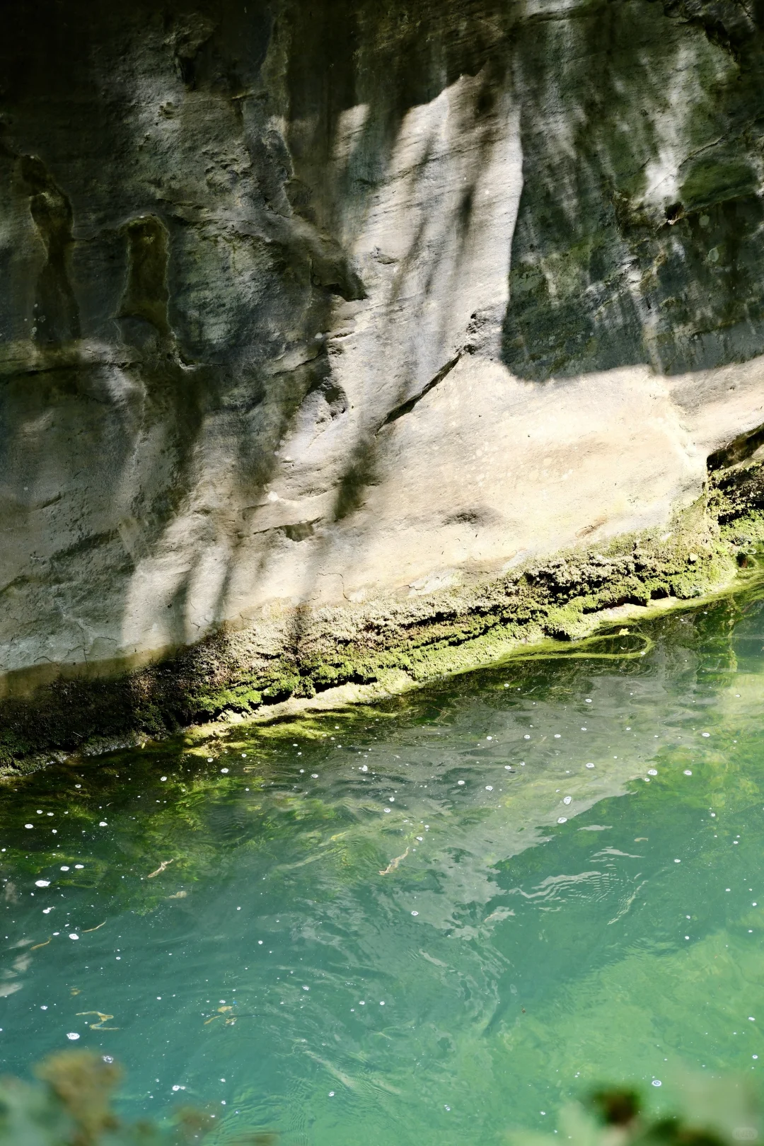 八泉峡⛰️｜适合所有人 不挤不晒还省腿攻略🔥