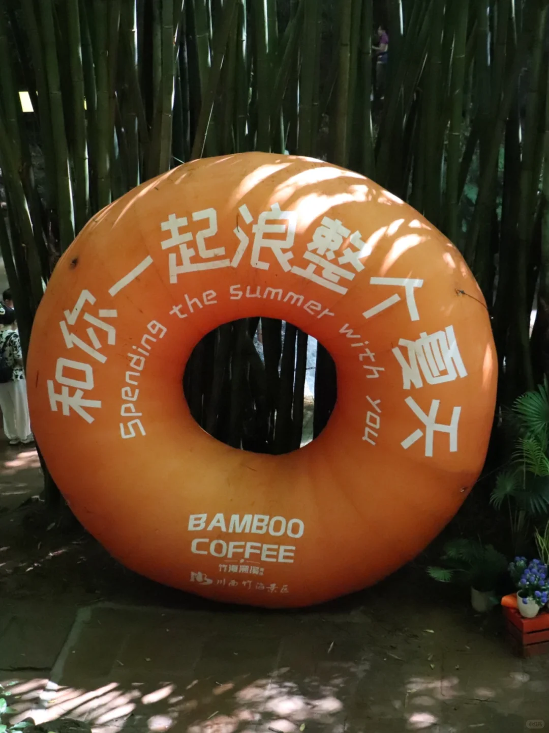 川西竹海📍1h直达，玻璃天桥直通云端！