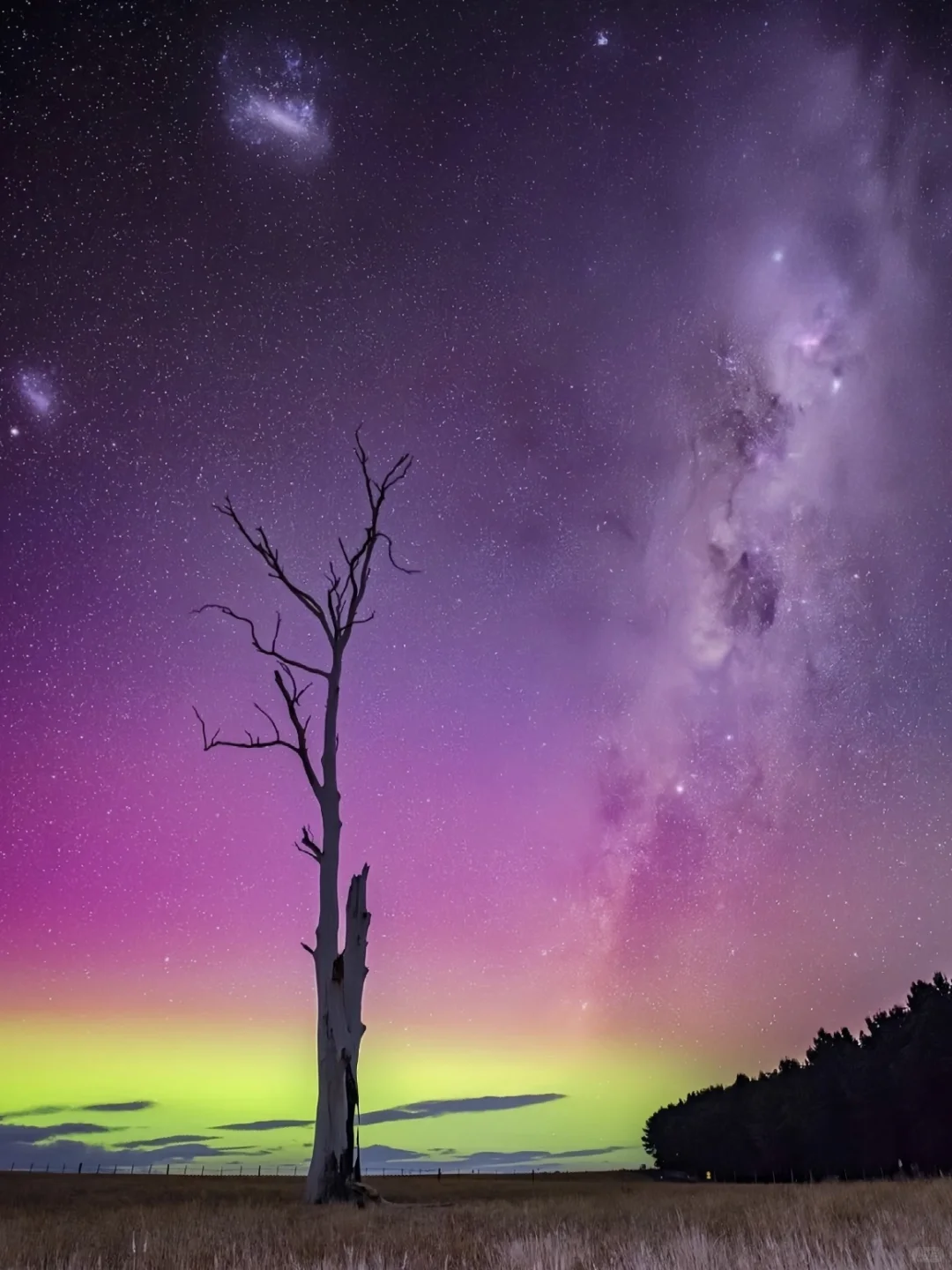 我宣布，新西兰是全球追极光最便宜的国家！