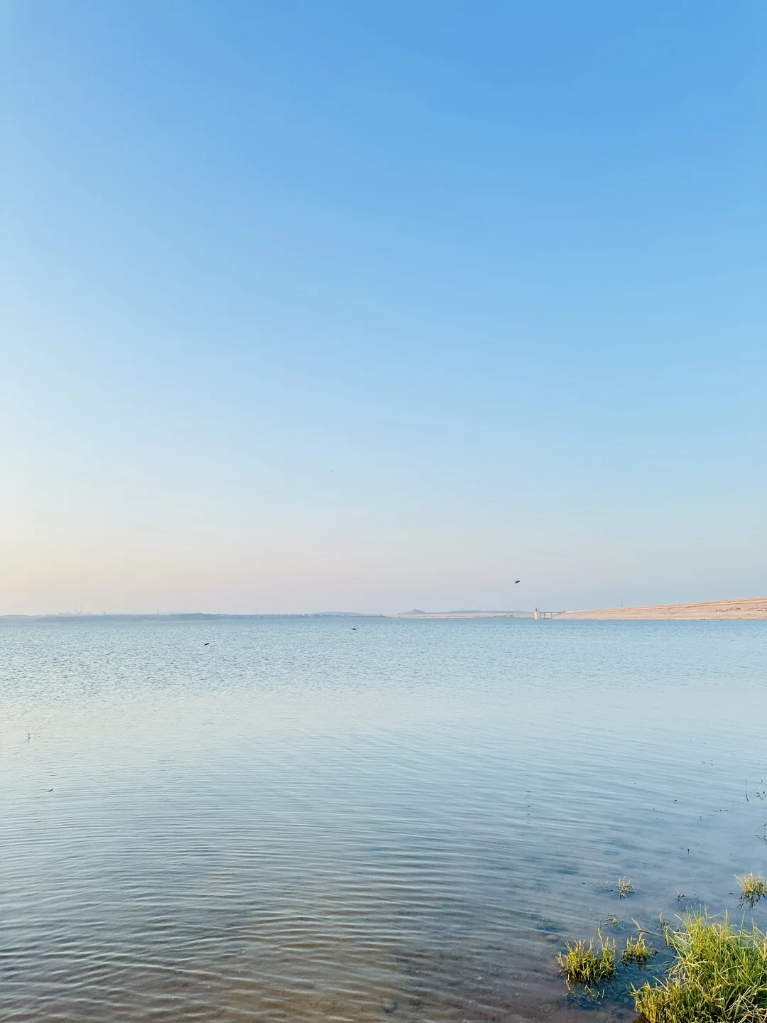 邯郸“阿勒泰”大草原，美的像一幅画🖼️