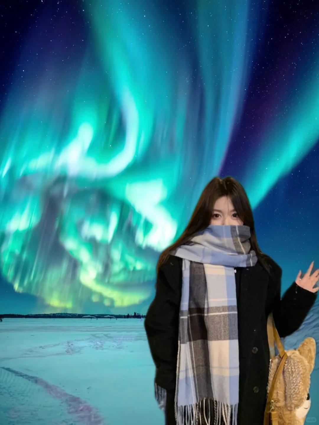 我宣布，新西兰是全球追极光最便宜的国家！