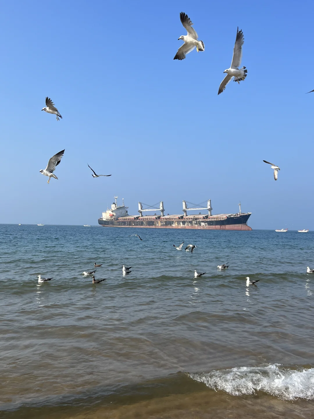 失业后，老公带一家子来威海旅游