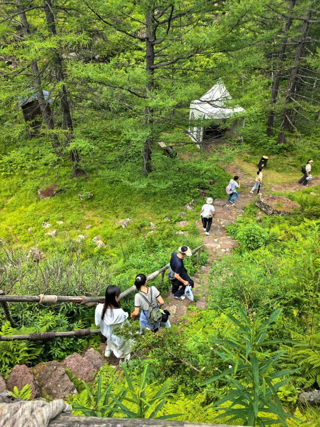 阿尔山Day2：奥伦布坎藏惊喜，五里泉淋雨