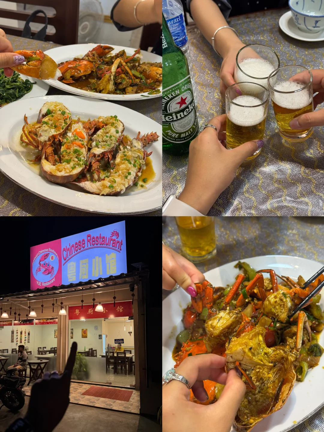 斯里兰卡🇱🇰8天环岛游攻略🧳人均4k！