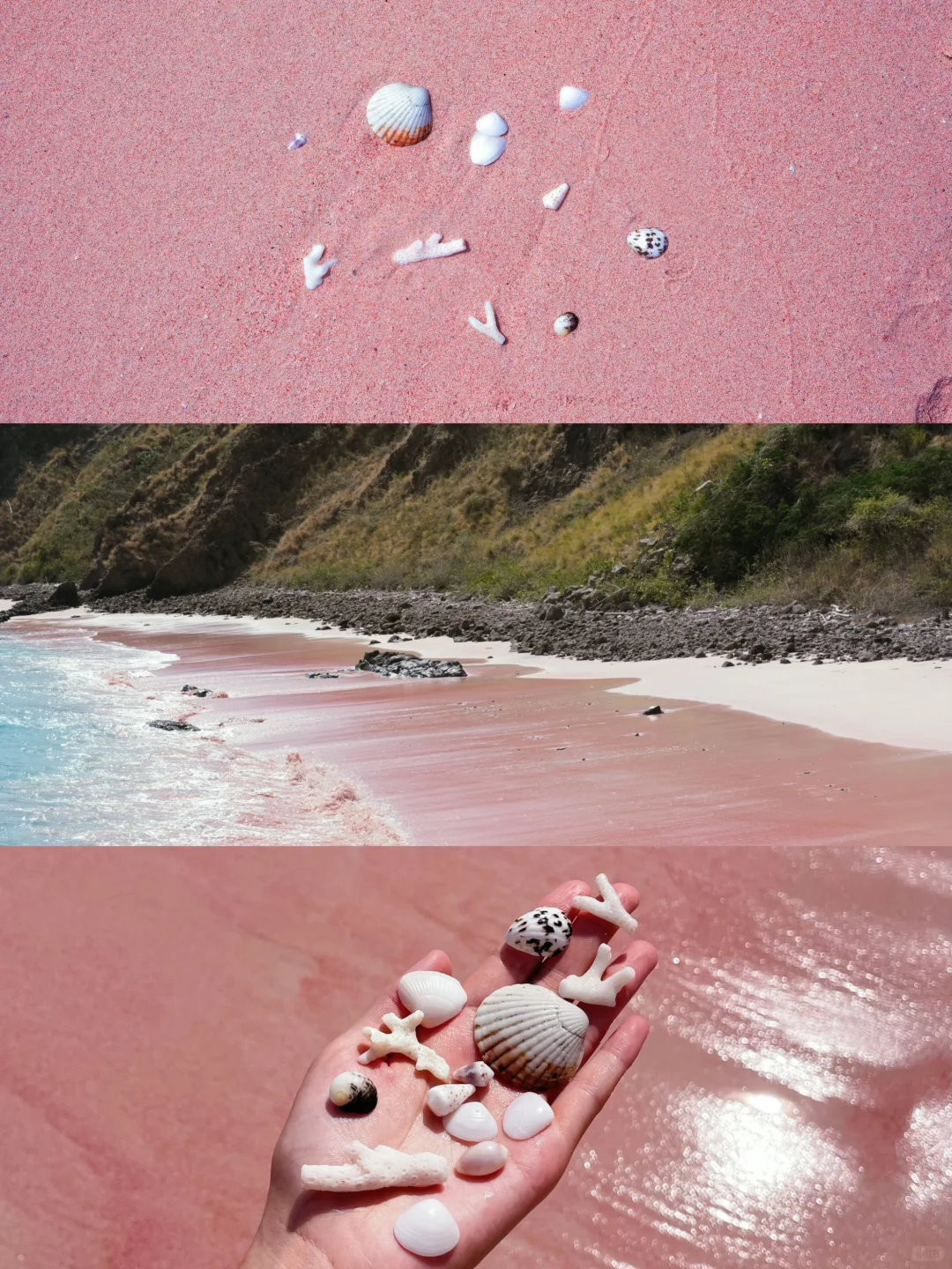 孤独星球这一页⛰️🦌 | 印尼8天7晚攻略