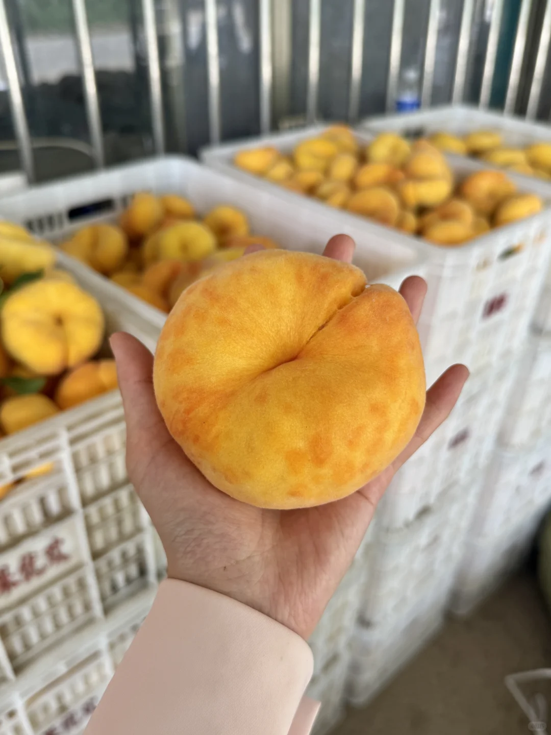 放心吧！20多我也得让你们感受到物超所值！