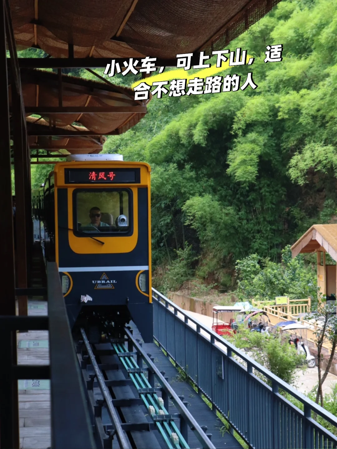 川西竹海📍1h直达，玻璃天桥直通云端！