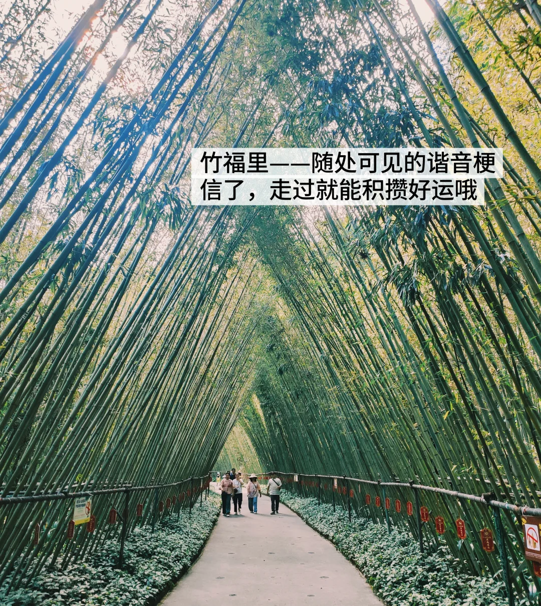 确实低估了清远笔架山！