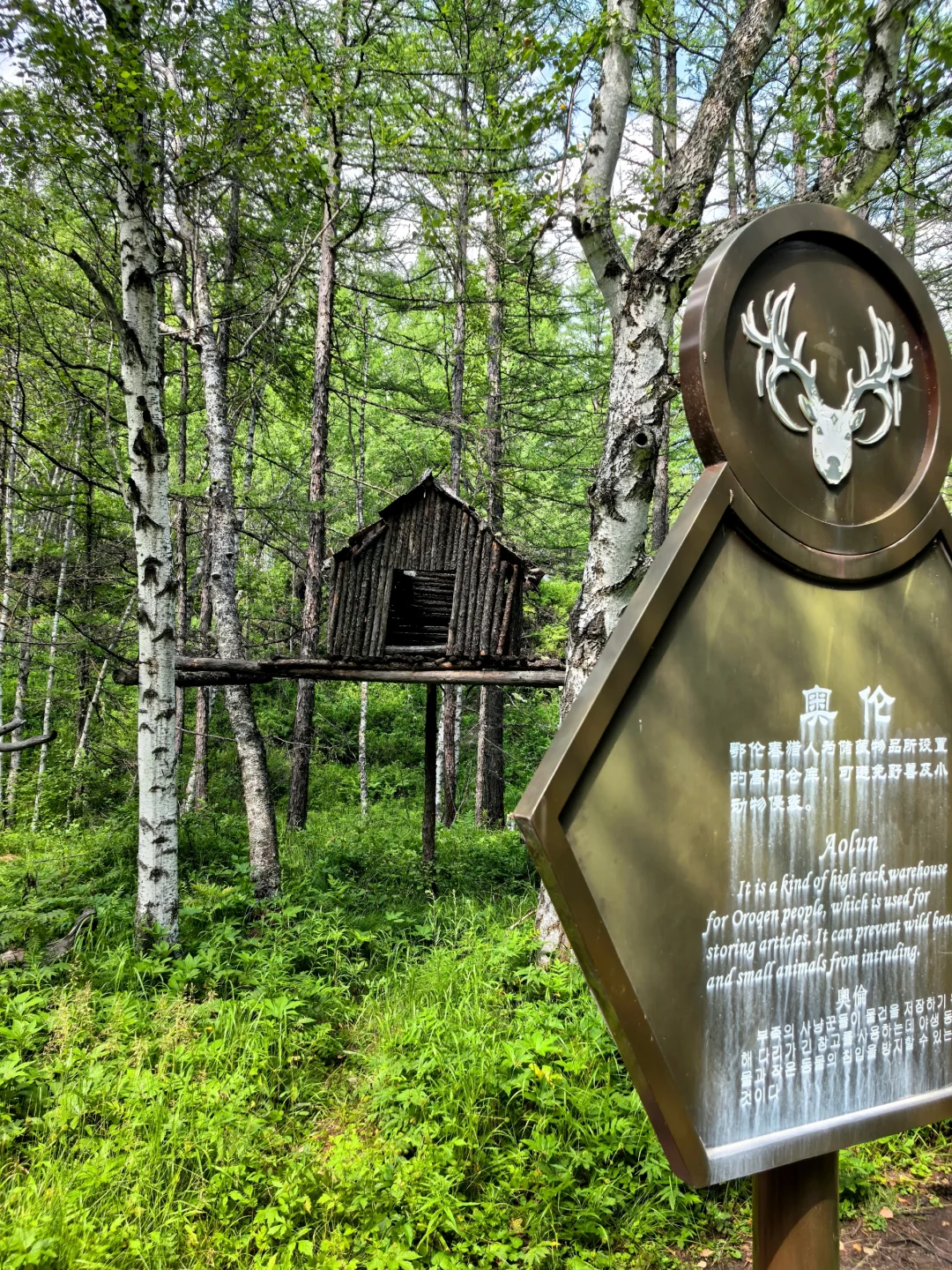 阿尔山Day2：奥伦布坎藏惊喜，五里泉淋雨