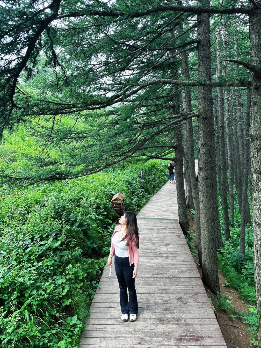 在云里爬山～超凉快～⛰驼梁️