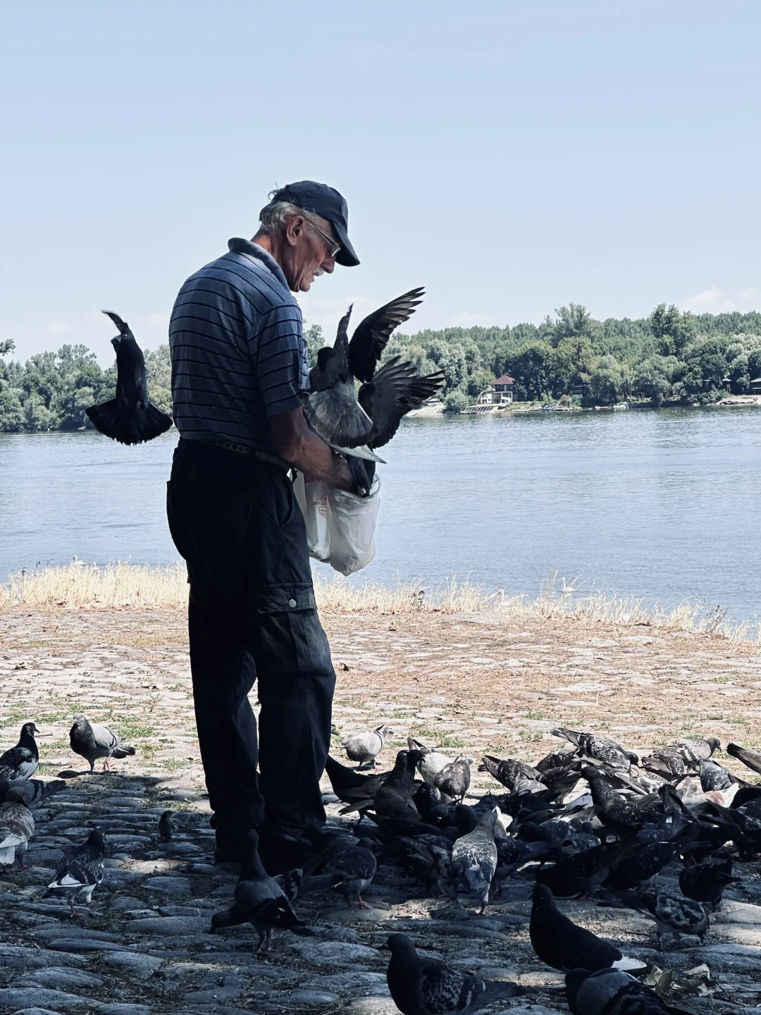 塞尔维亚｜一个人的南斯拉夫旧梦