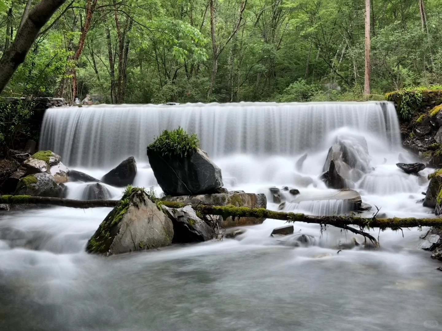 茂县 | | 叠溪松坪沟