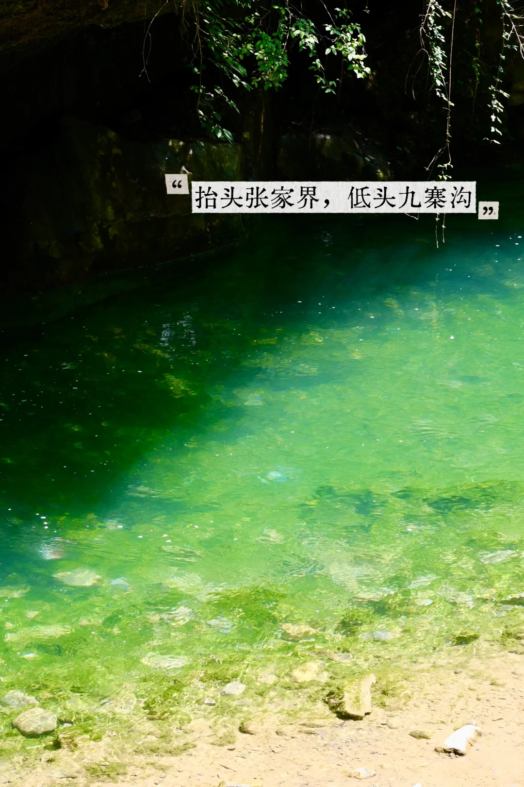 八泉峡⛰️｜适合所有人 不挤不晒还省腿攻略🔥