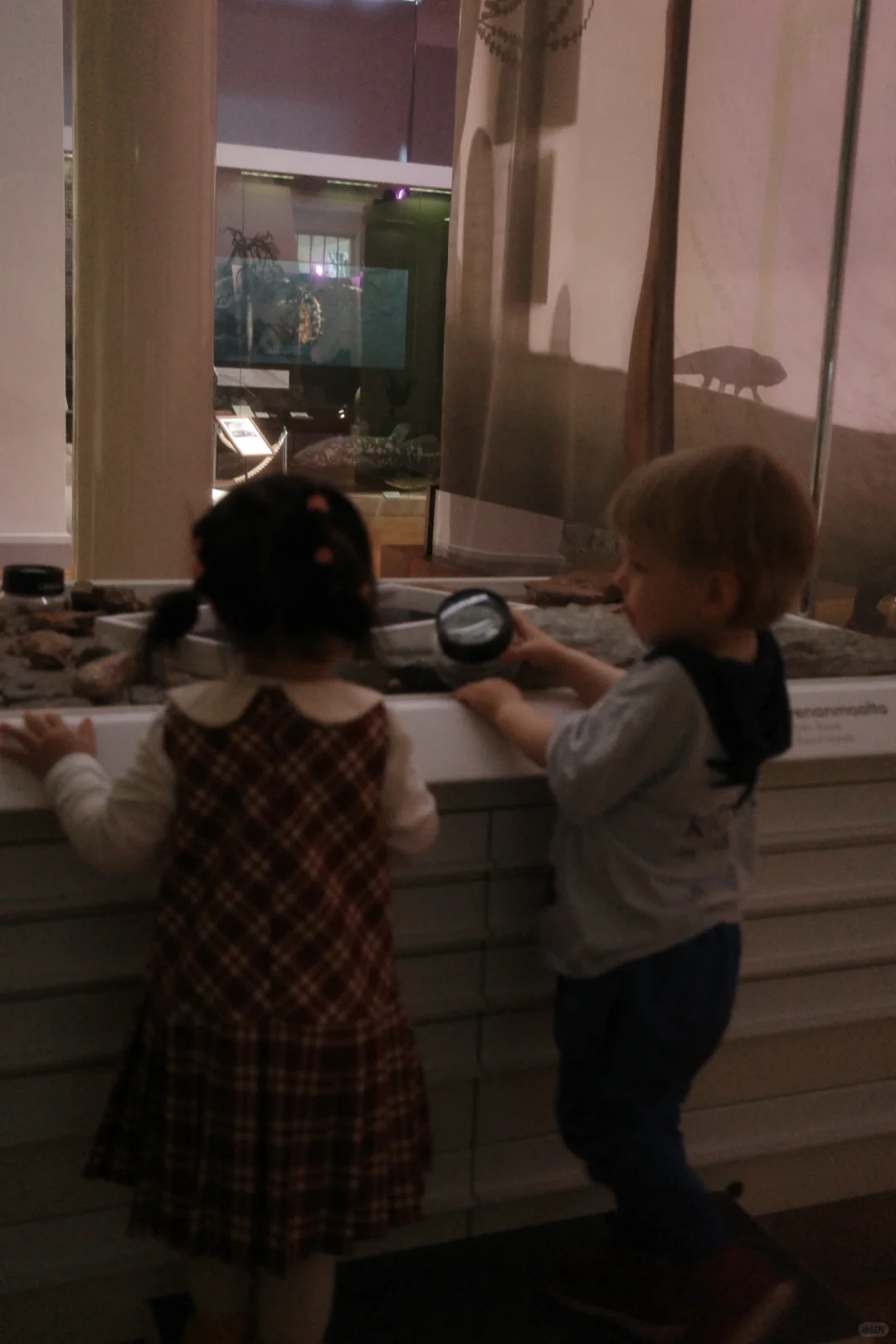 一份很 chill 的带娃瑞士芬兰深度游分享