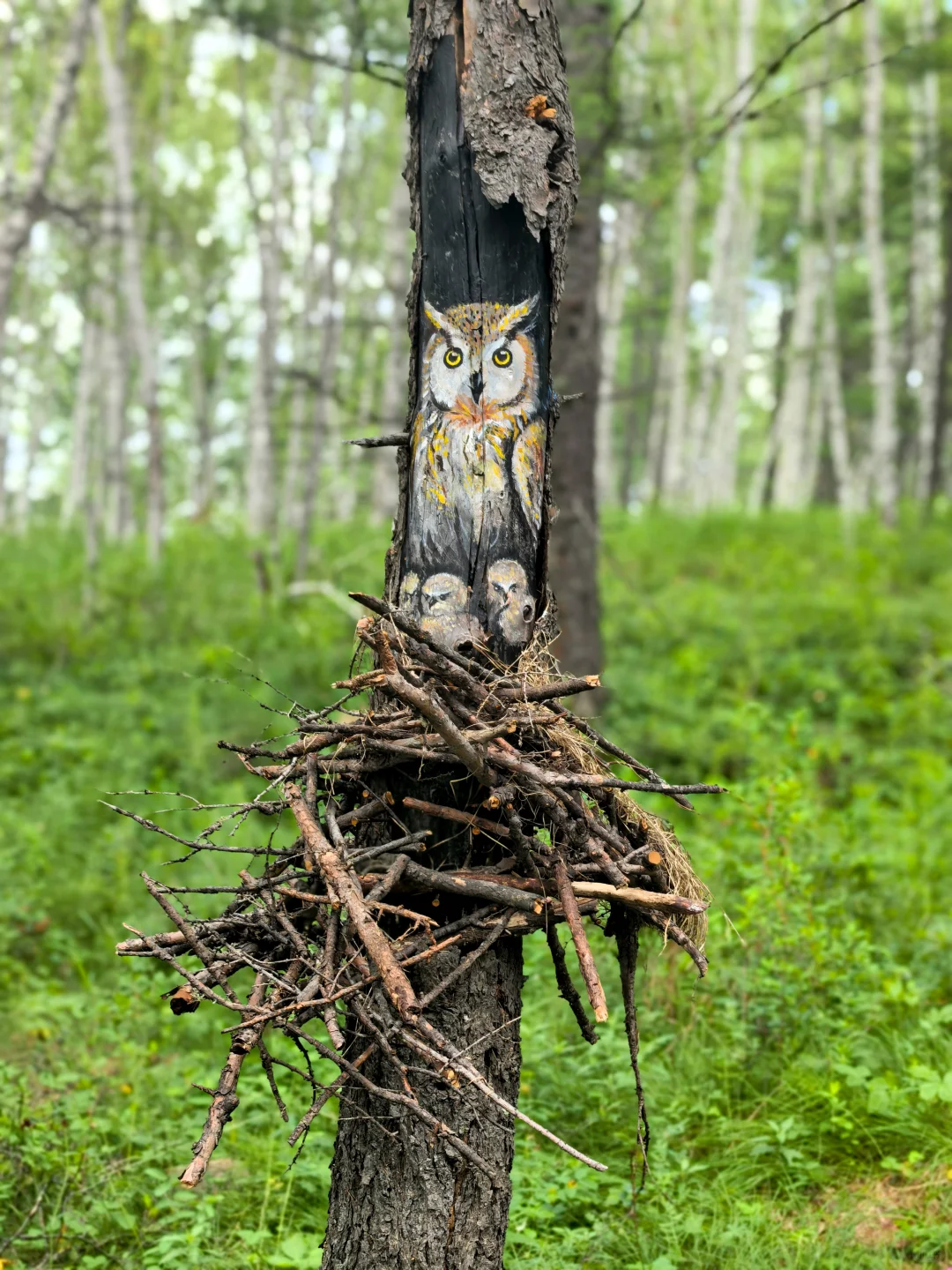 阿尔山Day2：奥伦布坎藏惊喜，五里泉淋雨