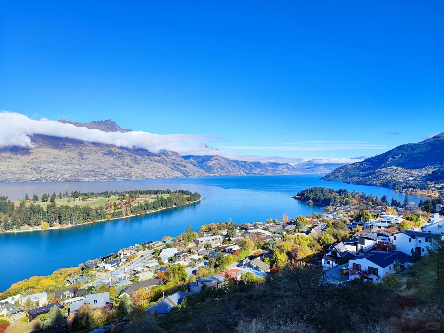 新西兰五一假期人均1.1w，7天6晚，不自驾版