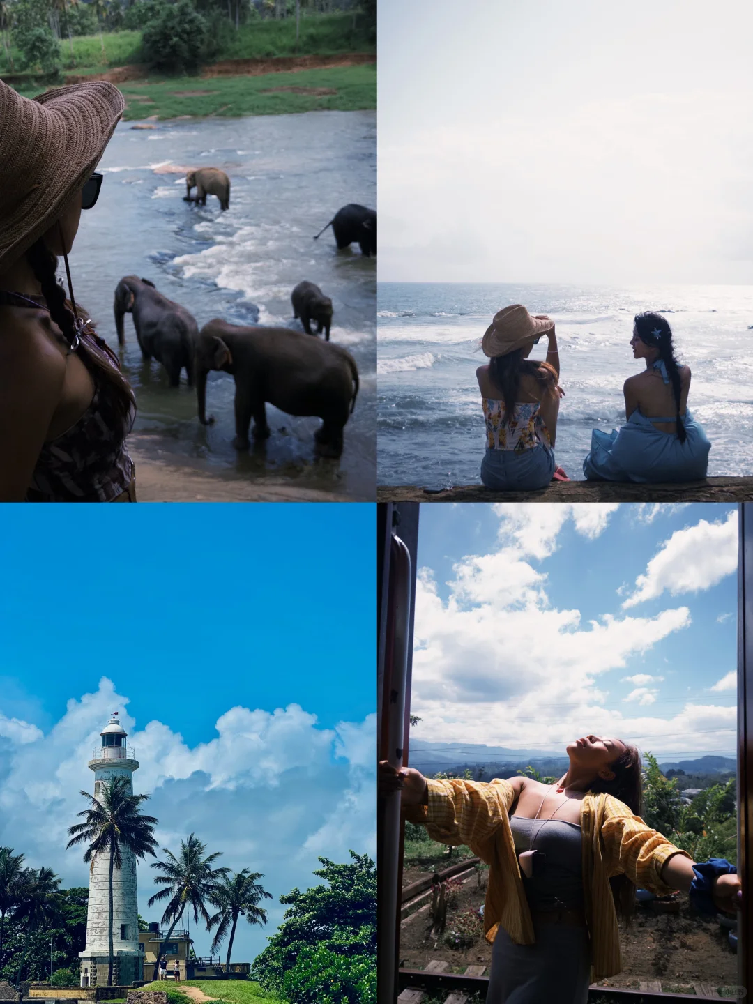斯里兰卡🇱🇰8天环岛游攻略🧳人均4k！