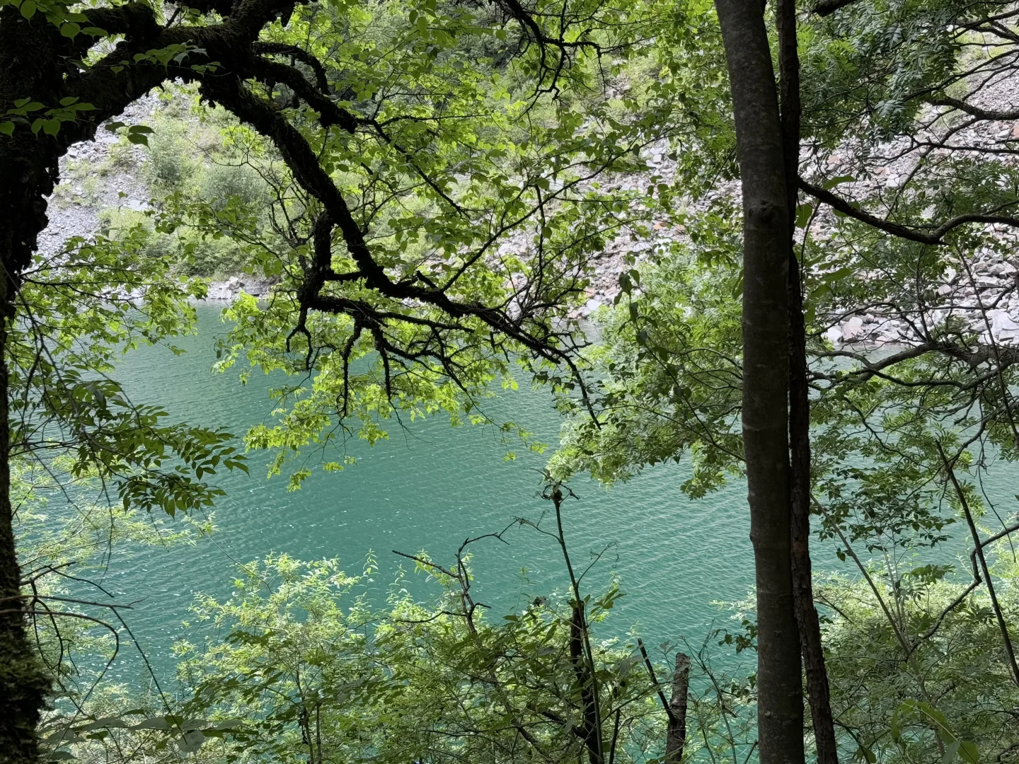 茂县 | | 叠溪松坪沟
