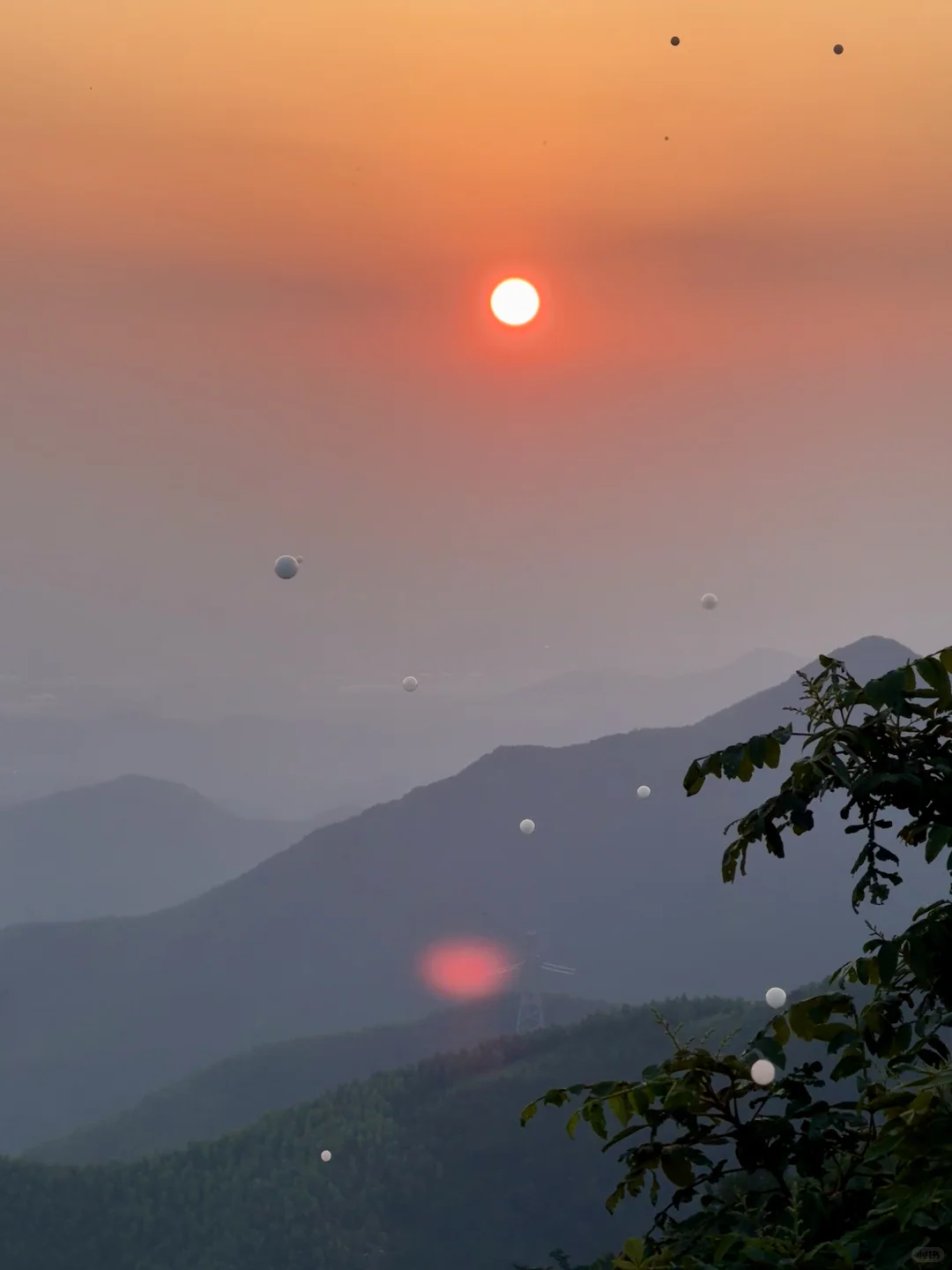 有一说一，德清旅游真的很像在国外‼️