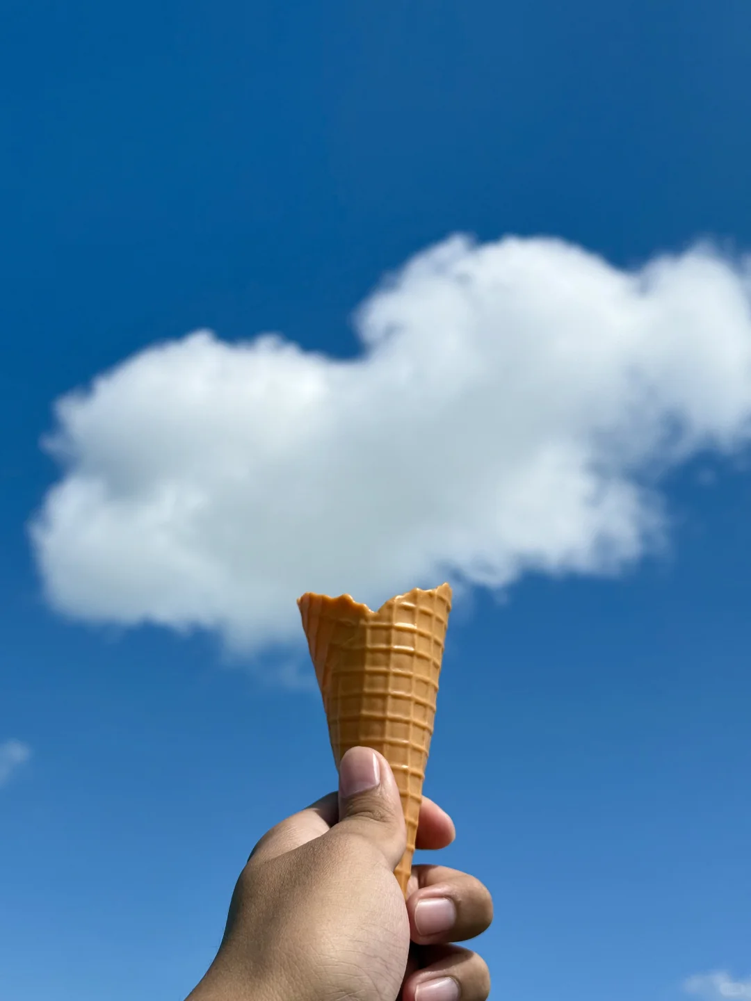 live|在呼伦贝尔实现了草原的尽头看大海~