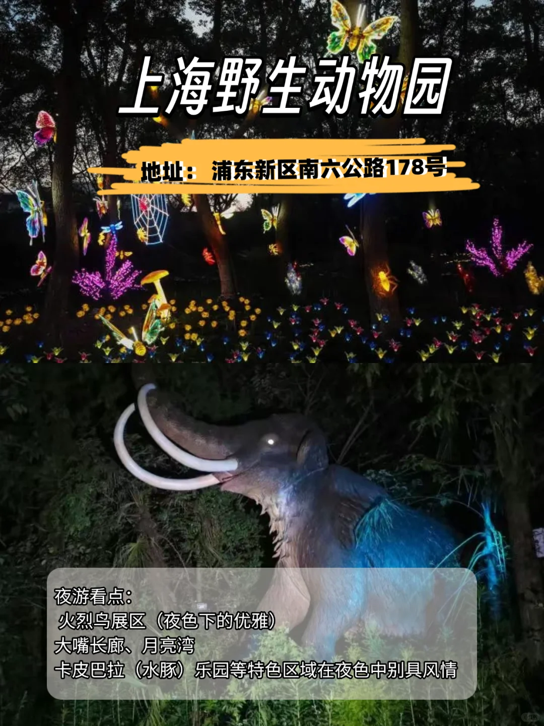 魔都5大乐园景区🔥夜游党必冲❗