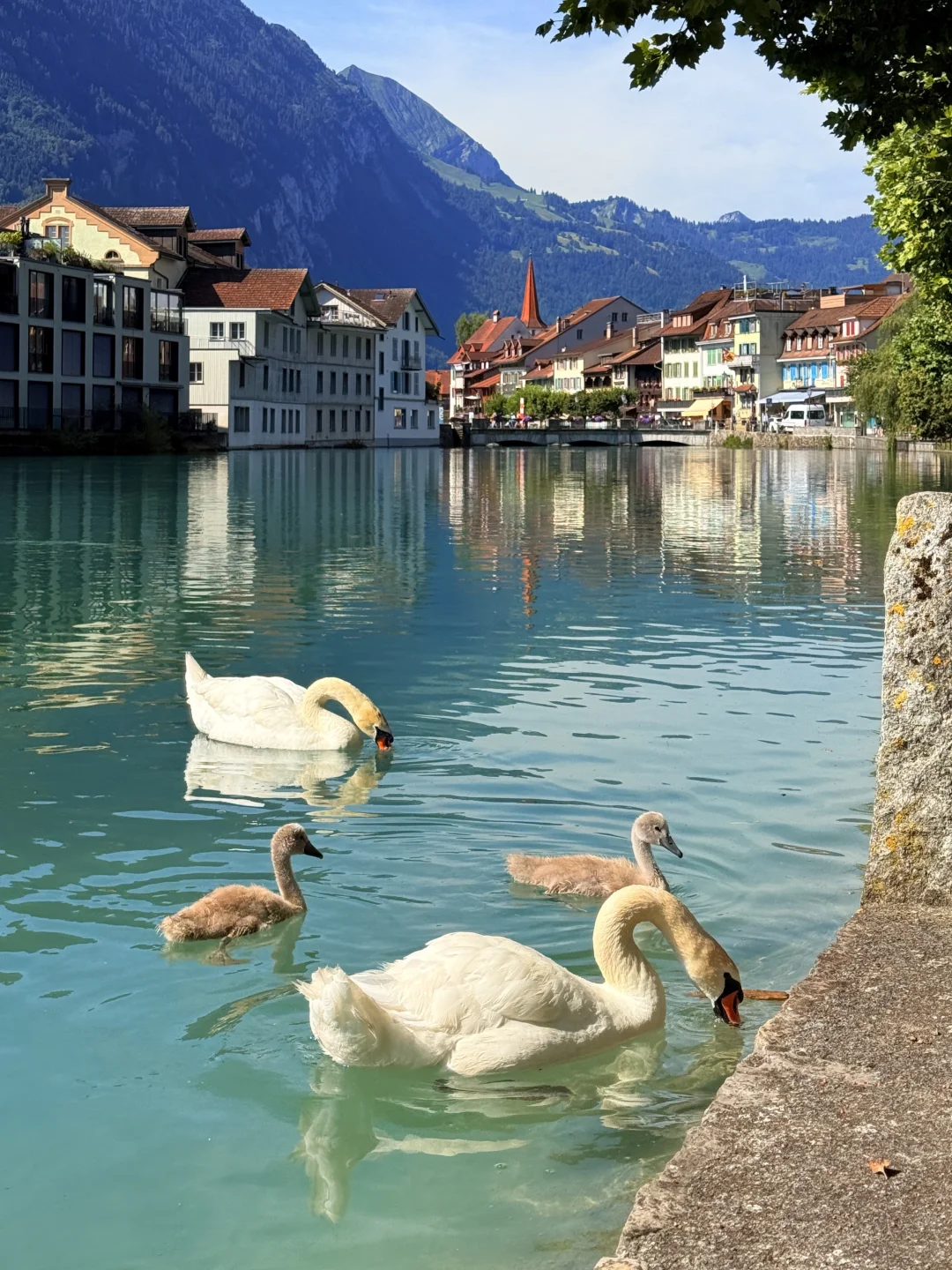 人太年轻的时候不建议去瑞士…