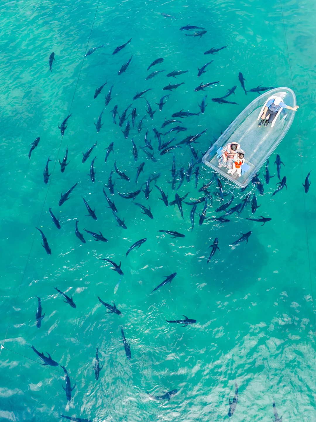 带娃在陵水已经住了10天❗听听我的真实感受