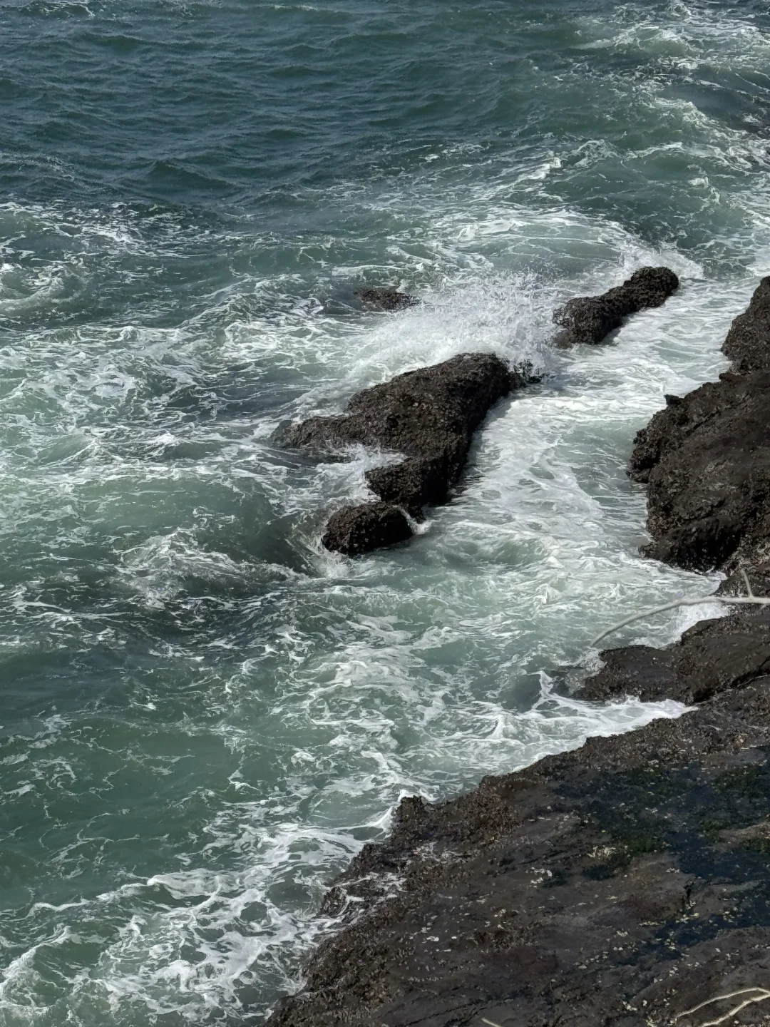 对自己做的日本攻略满意的睡不着觉…🥹🥹