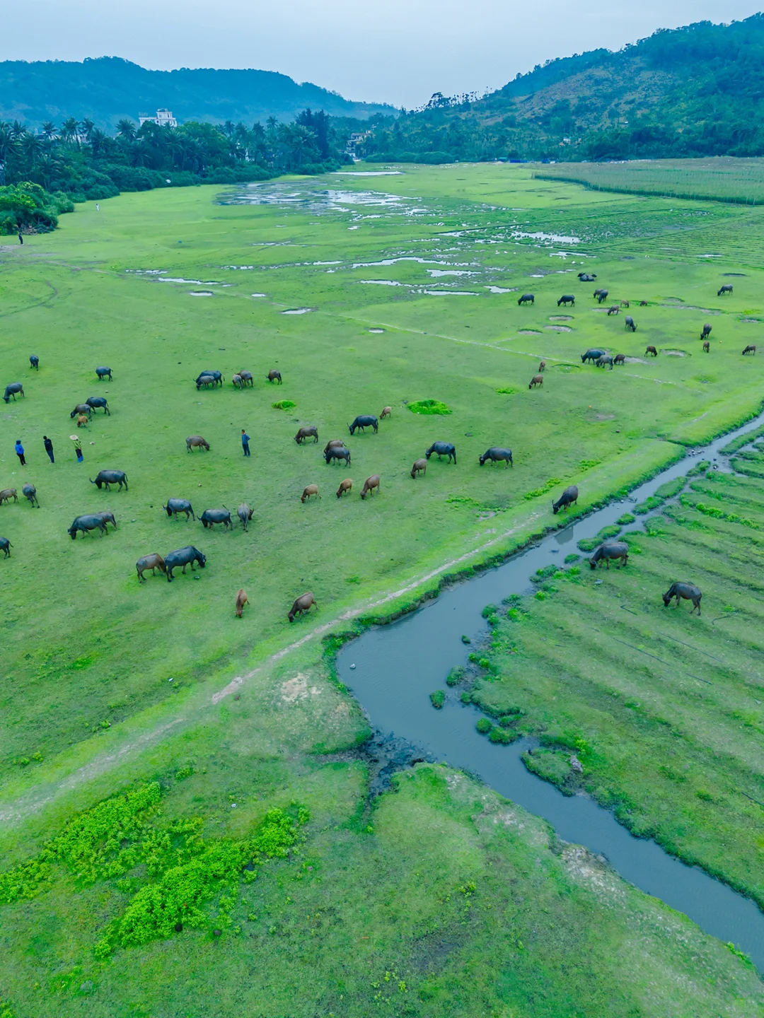 带娃在陵水已经住了10天❗听听我的真实感受