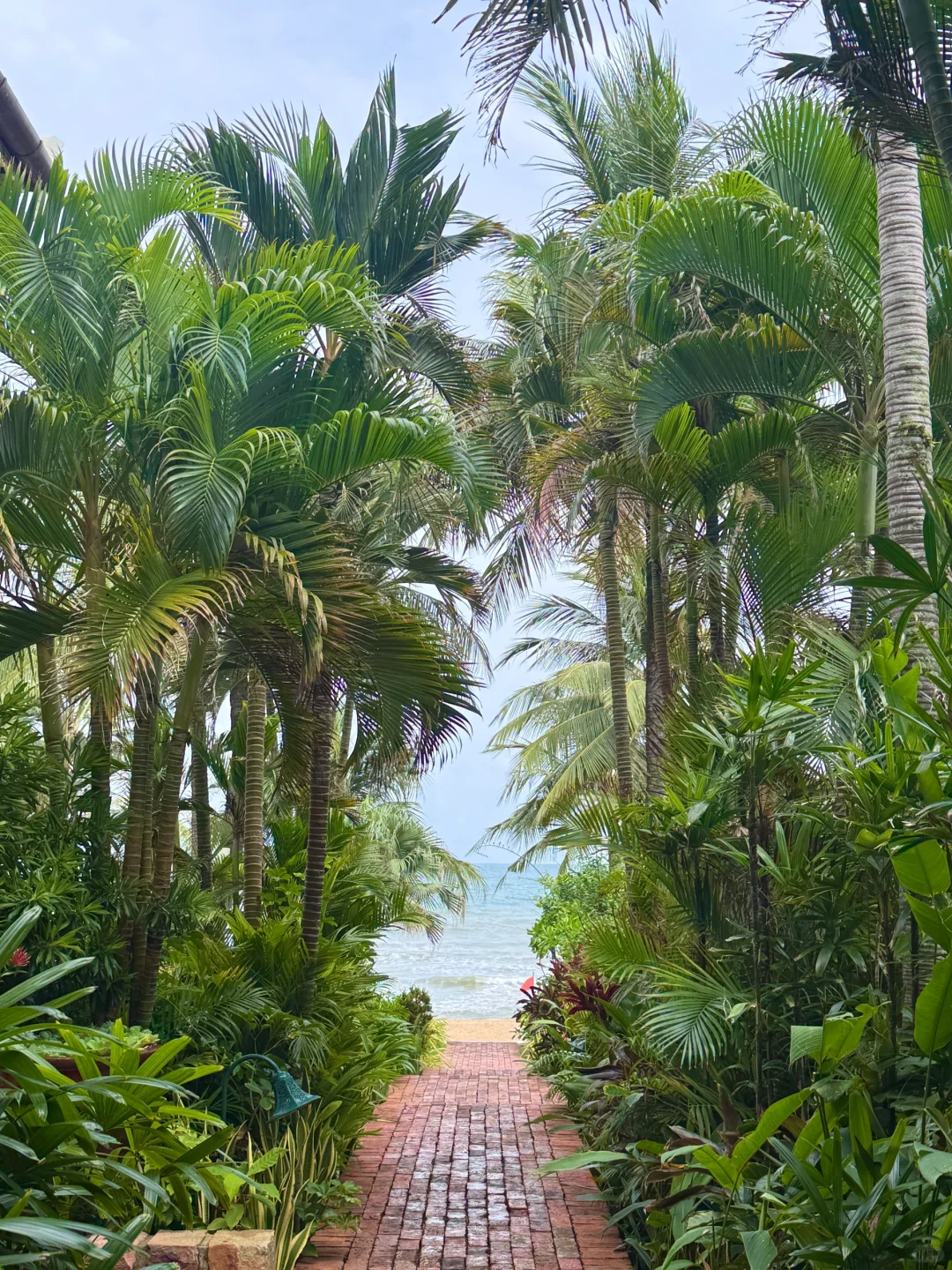 🇻🇳我不允许有韩留没来过富国岛!(攻略版