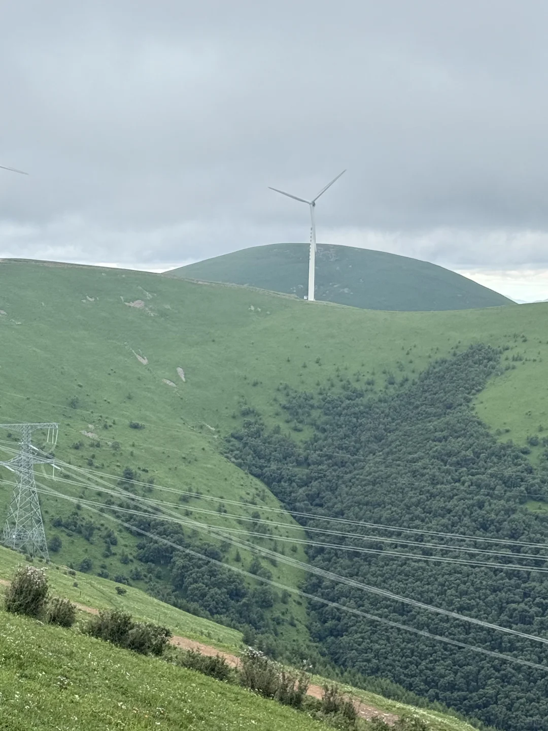 小友自然大会 | 周末到承德草原遛娃避暑咯