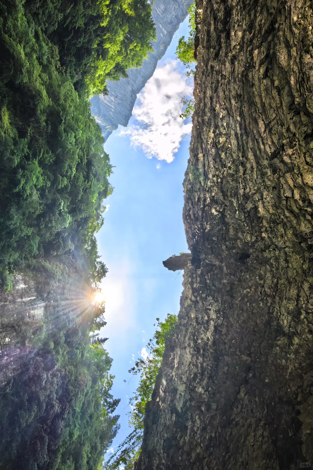 恩施6日游玩攻略📒