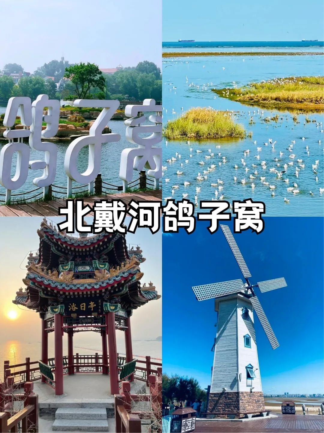 🌊23℃的秦皇岛｜夏日私藏玩法🍃