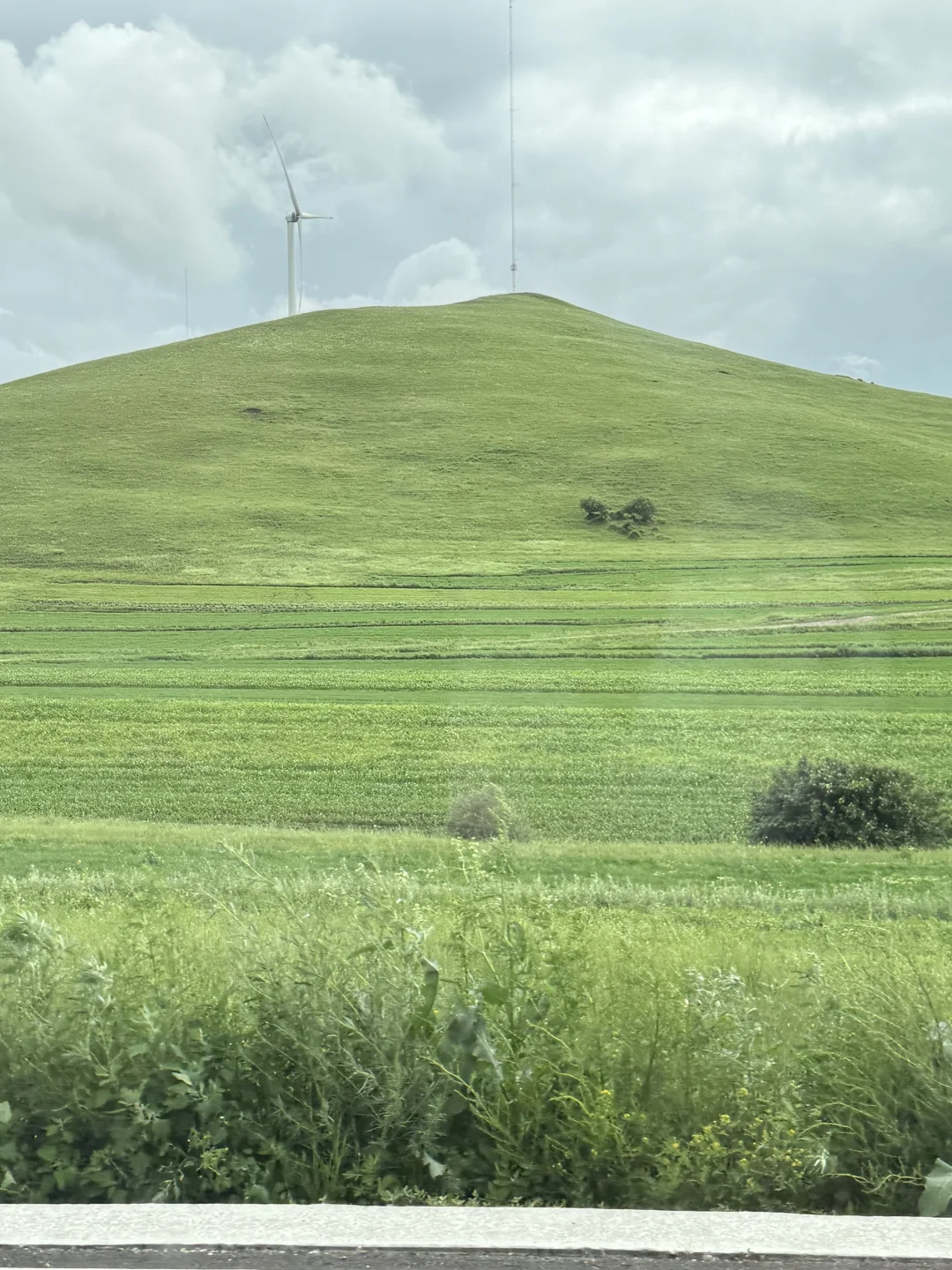 小友自然大会 | 周末到承德草原遛娃避暑咯