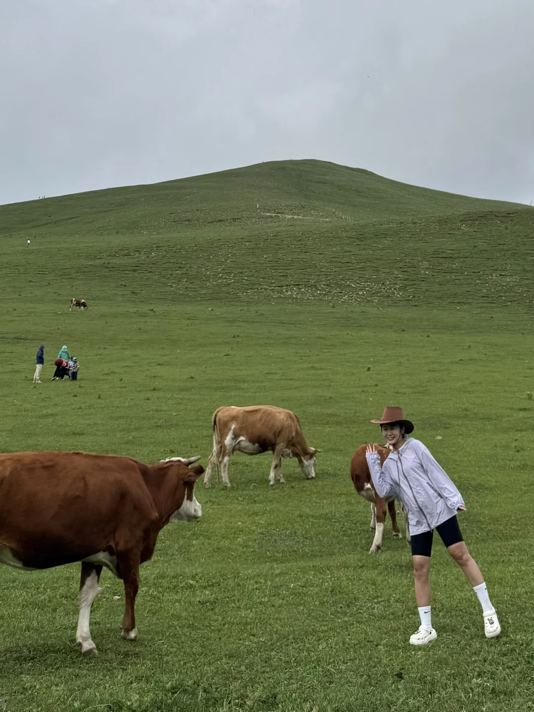 小友自然大会 | 周末到承德草原遛娃避暑咯
