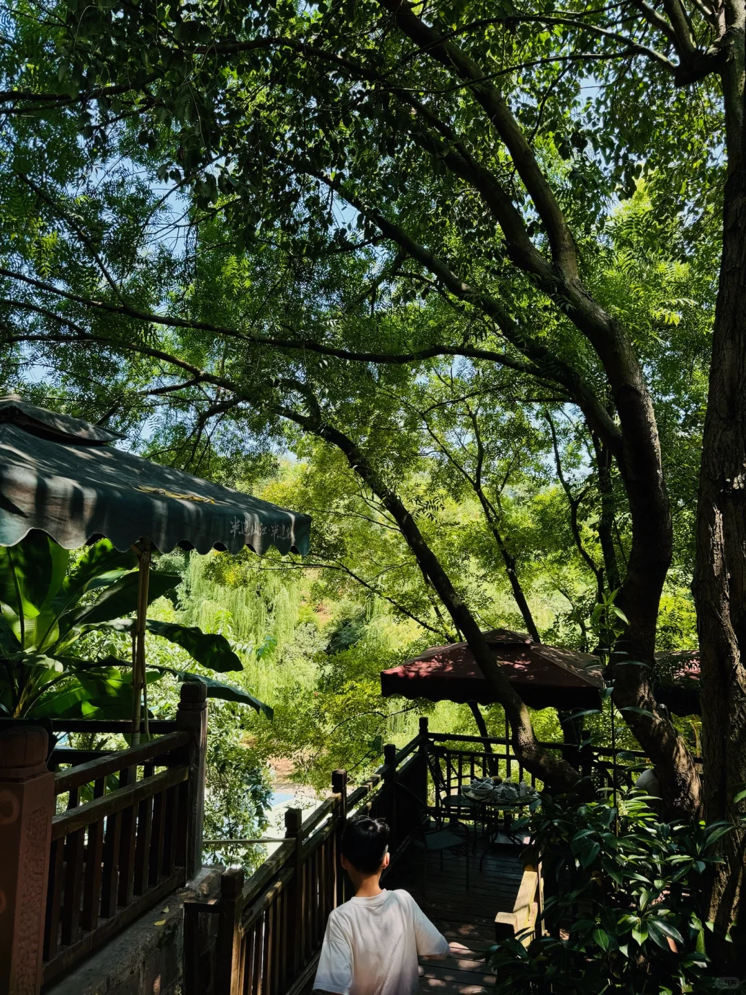 成都周边|1h直达的免费亲子玩水避暑地