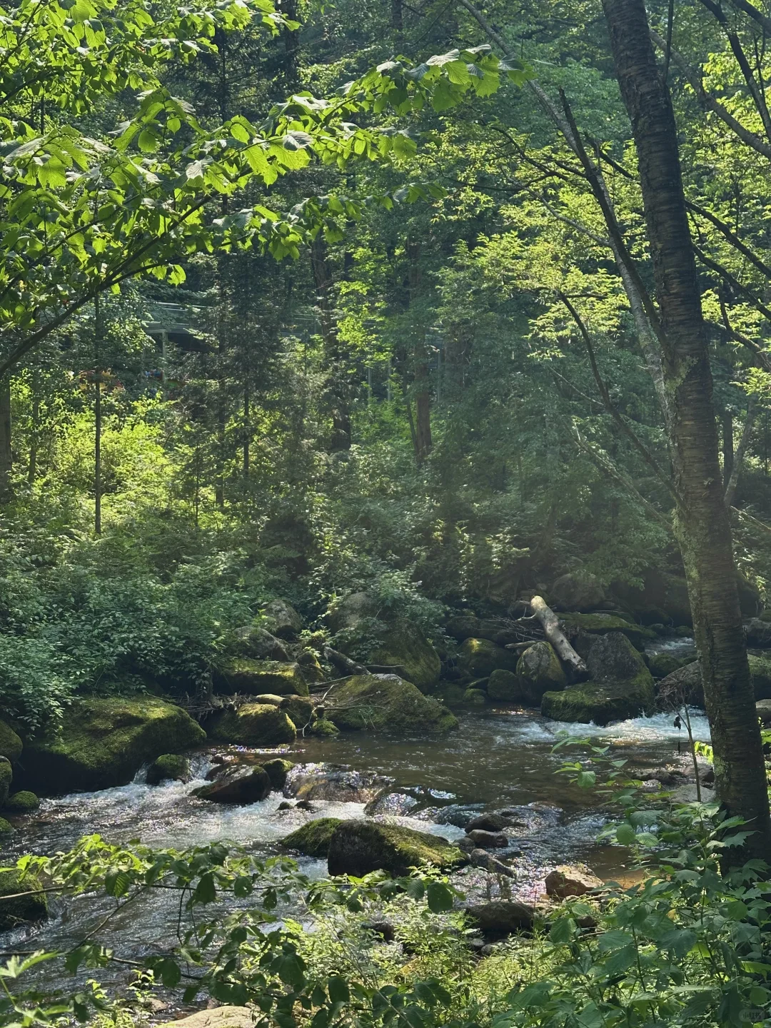 每周一山！哈尔滨当天往返爬山溯溪超治愈！